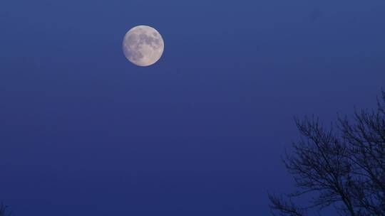 夜晚夜空深蓝色的空中挂着圆月