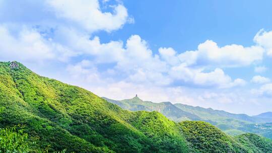 夏季晴天阳光下的山顶云海