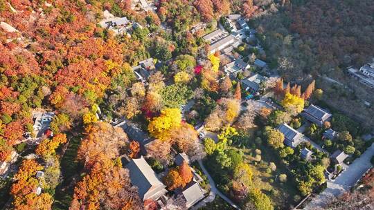 青岛崂山青岛秋景青岛太清宫航拍