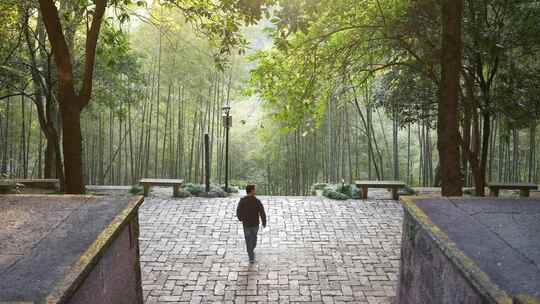 一位男人走在新昌大佛寺空地竹林中