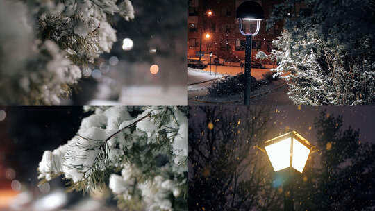 夜间下雪雪花路灯下雪天