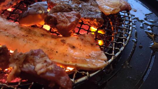 韩式烤肉烧烤炭火烤肉果木烤肉湖边野炊