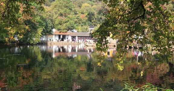 秋天阳光湖水秋叶美丽苏州天平山秋景