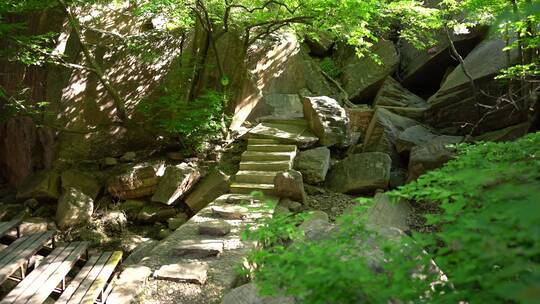 洛阳龙潭大峡谷旅游生态森林河流景点