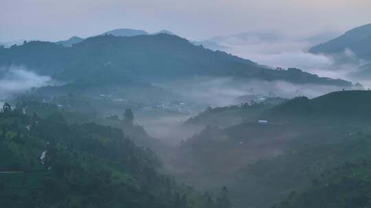 航拍云雾中的茶山