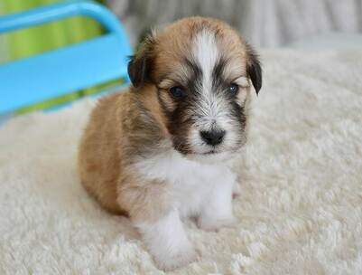 安睡灯火 亲密 氛围 夜晚 宣传片 微