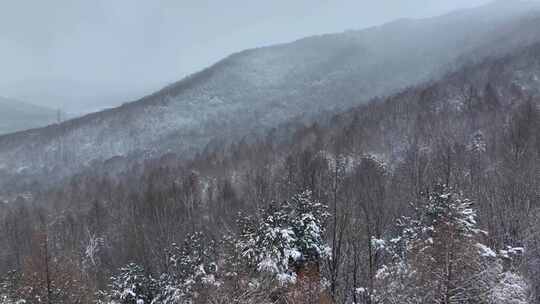 航拍东北下暴雪林海雪原威虎山