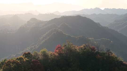 4K无人机航拍重庆黎坪森林公园风景区日出