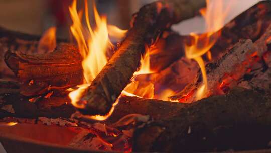燃烧的火焰火堆木材木炭