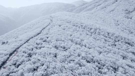 4K航拍天目山脉龙王山雾凇雪景风光