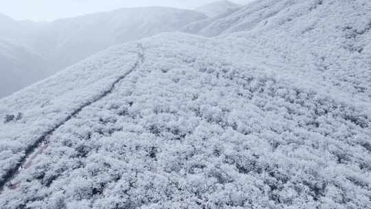 4K航拍天目山脉龙王山雾凇雪景风光视频素材模板下载