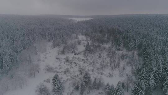 长白山老里克湖雪景原始森林厚厚的积雪