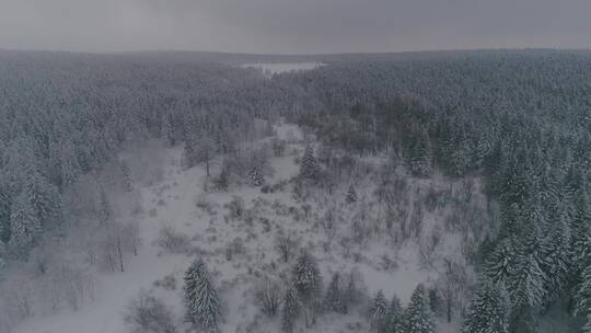 长白山老里克湖雪景原始森林厚厚的积雪视频素材模板下载