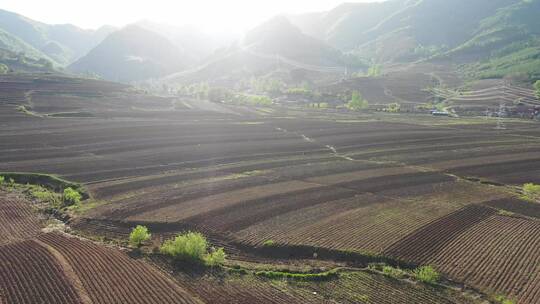 东北山区黑土地耕地航拍