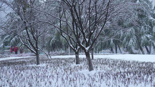 武汉江汉区菱角湖公园雪景