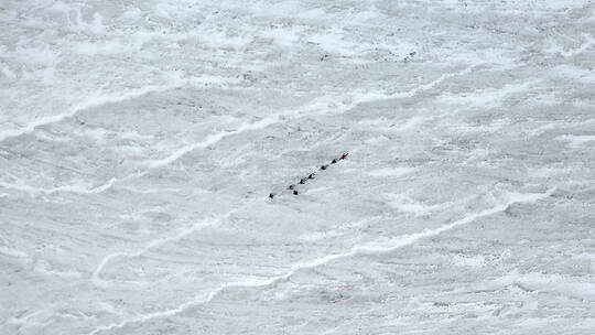 西藏拉萨当雄廓琼岗日雪山洛堆峰登山滑雪