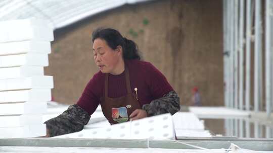 寿光大棚 蔬菜大棚 大棚建设