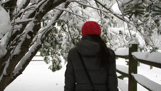 漫步在积雪覆盖的树下