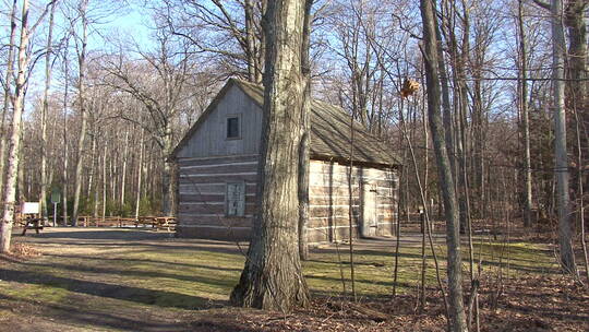 密歇根森林中的小木屋