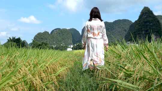 美女走在稻田中亲近自然