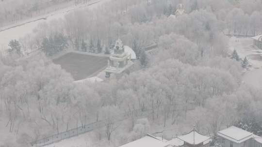 冰雪覆盖树木的冬季雪景航拍画面