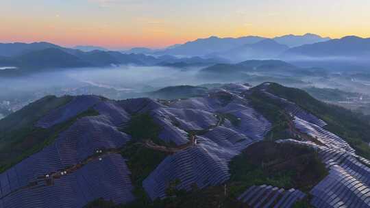 山上太阳能光伏板 太阳能发电站航拍