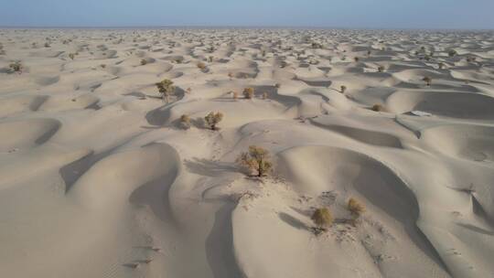 广袤的新疆塔克拉玛干沙漠视频素材模板下载