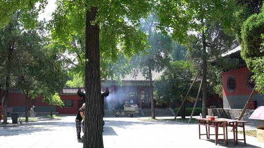 洛阳白马寺国际佛殿泰国寺庙古建筑光影