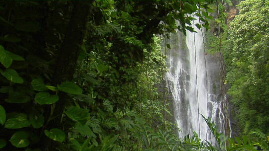 热带瀑布流经夏威夷茂密的雨林视频素材模板下载