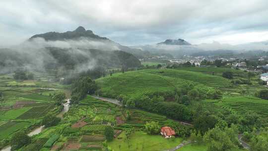 航拍武夷山风景区国家森林公园丹霞地貌风光视频素材模板下载