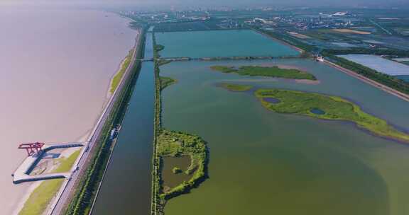 杭州钱塘大湾区湿地公园航拍视频