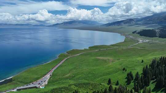 新疆博尔塔拉赛里木湖湖边高山草原森林景观