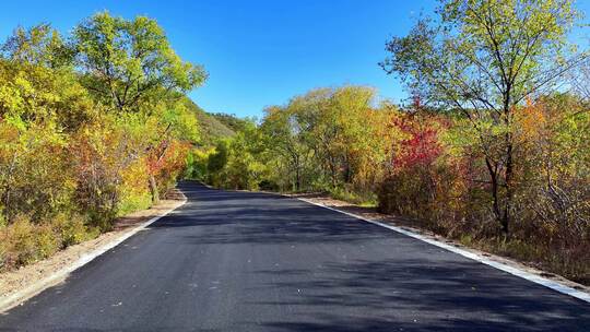秋天的乡村五彩公路