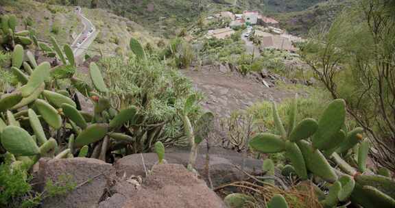 Masca， Village，特内里费岛