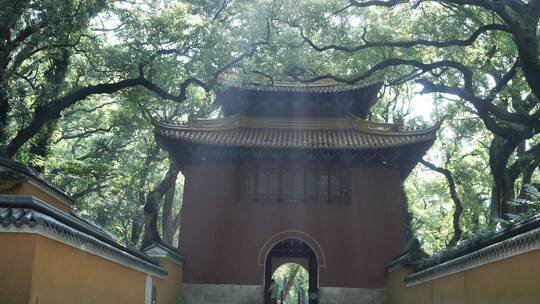 浙江普陀山法雨寺禅院建筑视频