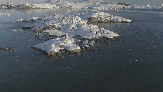 企鹅站在白雪覆盖的岛上视频素材模板下载