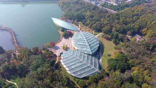 南京中山植物园航拍