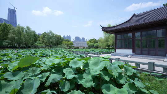 武汉武昌区沙湖公园月榭