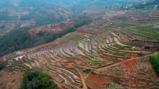 俯瞰山地梯田风光