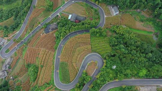 湖北宜昌长阳县乡村梯田盘山公路风光