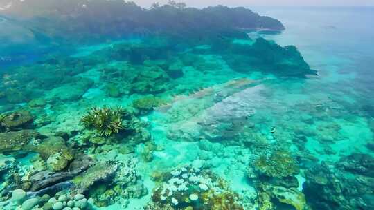 海岛风情 翠绿环绕 海湾碧蓝 梦幻天堂