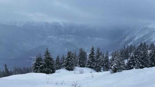 冬季森林和雪山