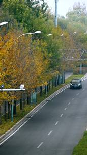 升格实拍北京五彩的秋天蜿蜒曲折的公路竖屏