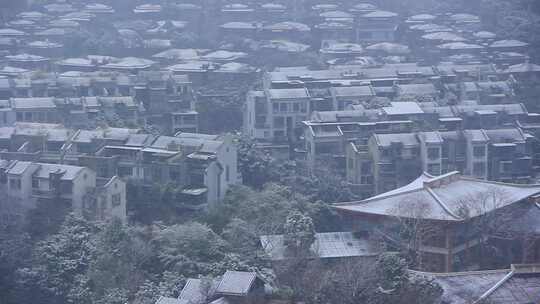 四川成都市温江区万春镇下雪的场景实拍素材