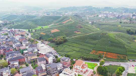 杭州龙坞西湖龙井茶园风景航拍