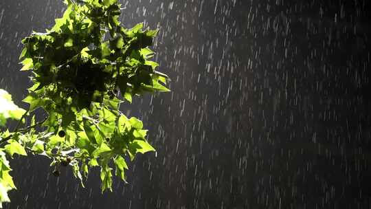 城市夏季雨天降水唯美空镜头视频素材模板下载