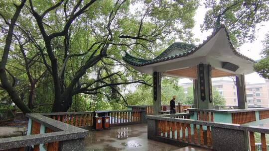 湖南衡阳回雁峰景区雨花亭4k视频