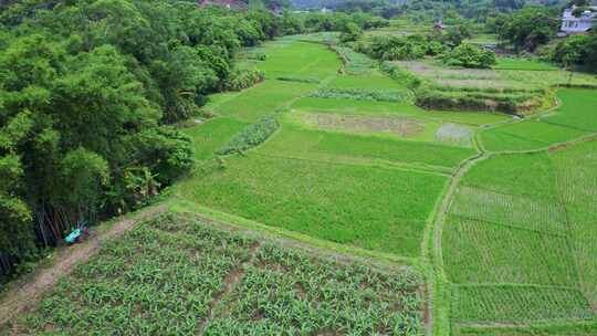 航拍田野菜地