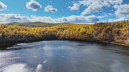 阿尔山湖泊的秋天
