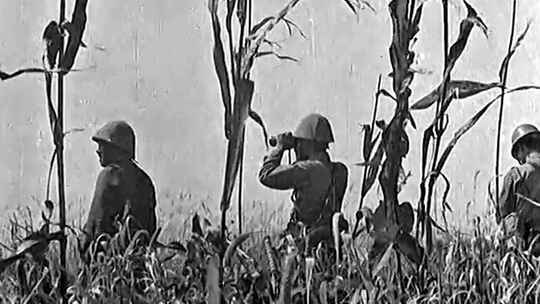 1937年 日军侵犯浙江嘉善县